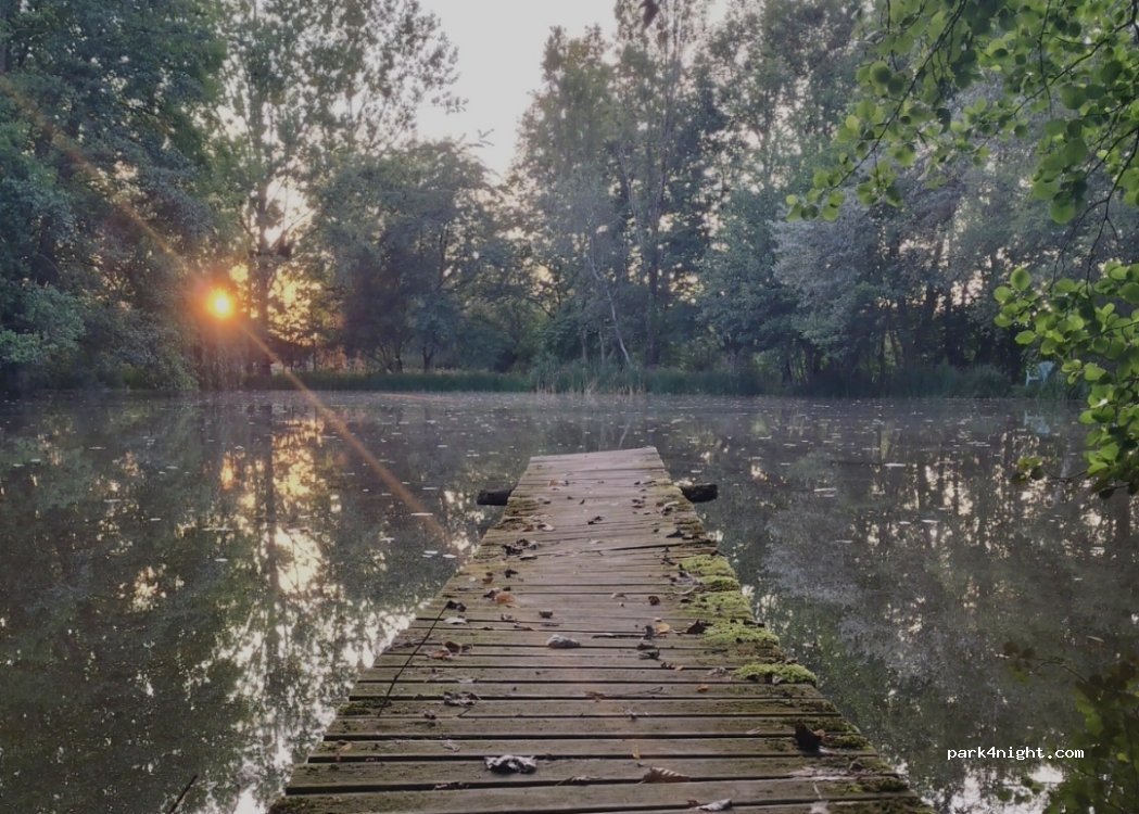 La Viotterie — foto 5