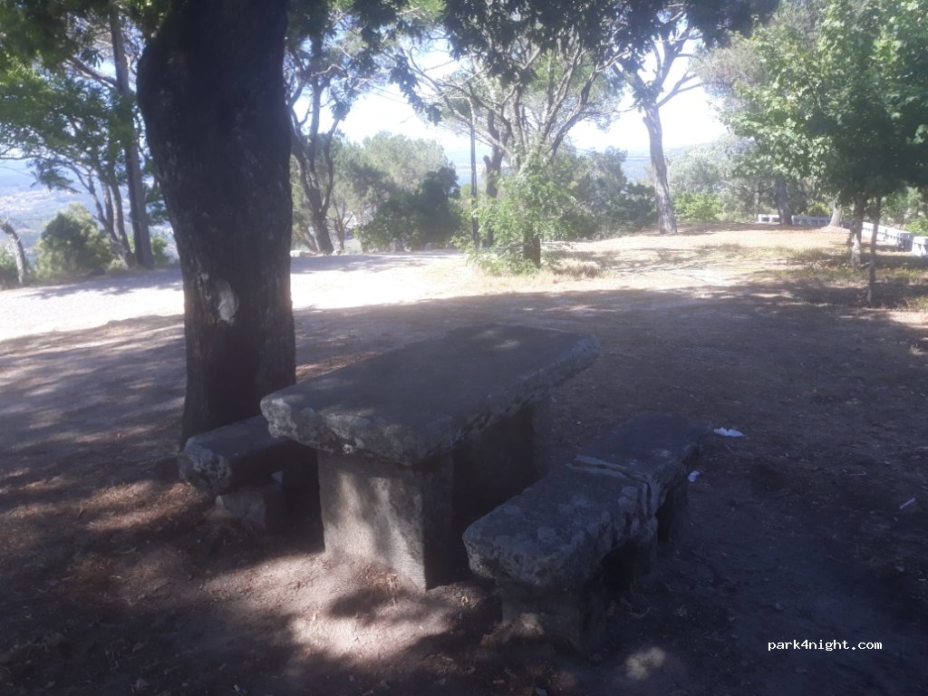 (3530) Mangualde - 53 Rua de Santa Maria do Castelo — foto 4