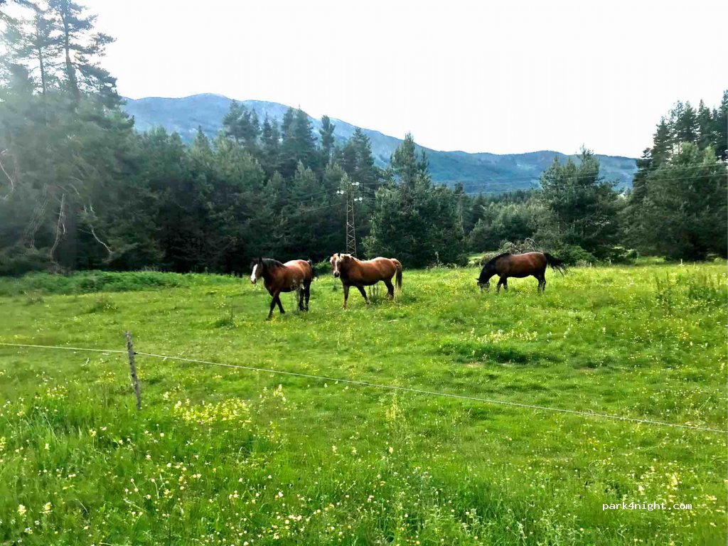 (2917) Popov Meadows - Unnamed Road — foto 4