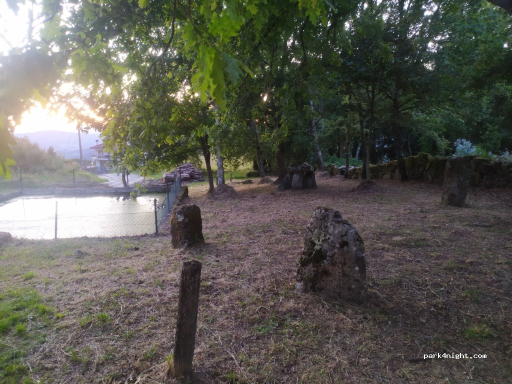 (32448) Nogueira - OU-0555 — foto 2