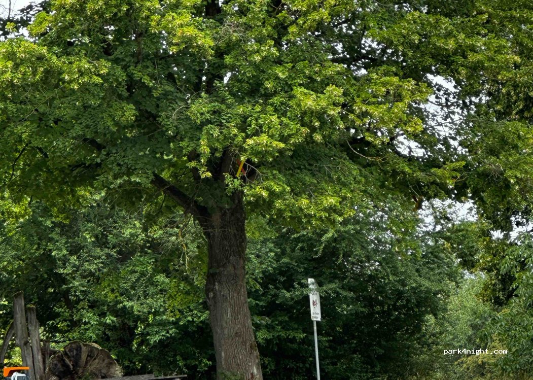(92360) Mühlhausen - 27 Hinterer Berg — foto 2
