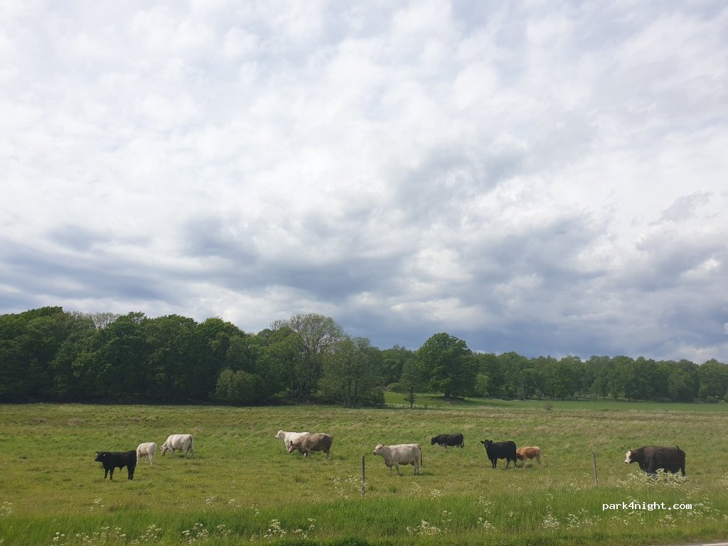 (153 93)  - Unnamed Road — foto 2