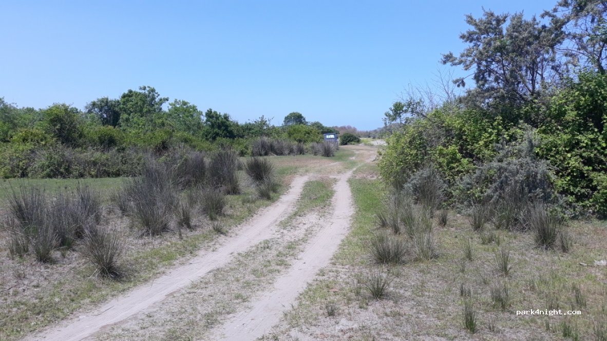 (55431) Samsun - Unnamed Road — foto 2
