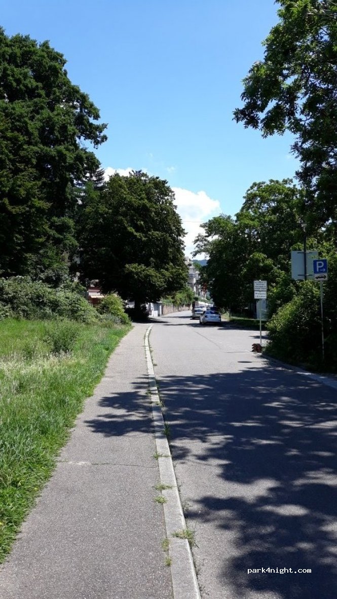 (69118) Heidelberg - 129 In der Neckarhelle — foto 3