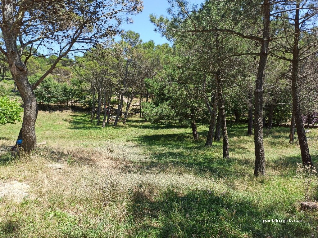 (17489) Puerto de la Selva - GIP-6041 — foto 2