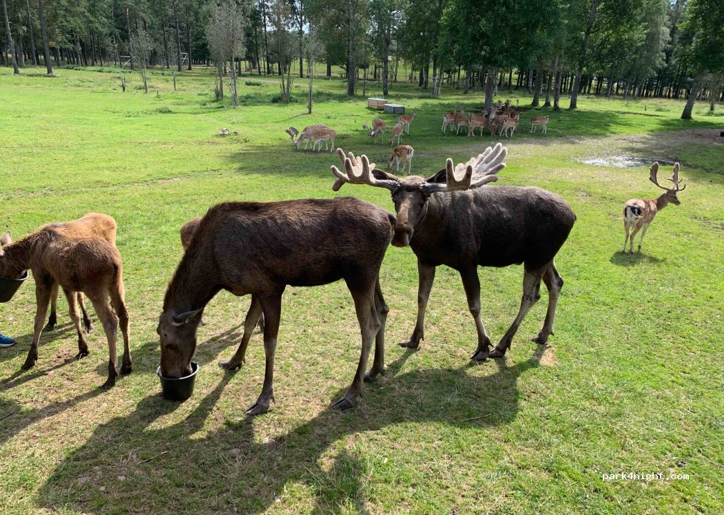 (575 91) Eksjö - Skullaryd Gård 1 — foto