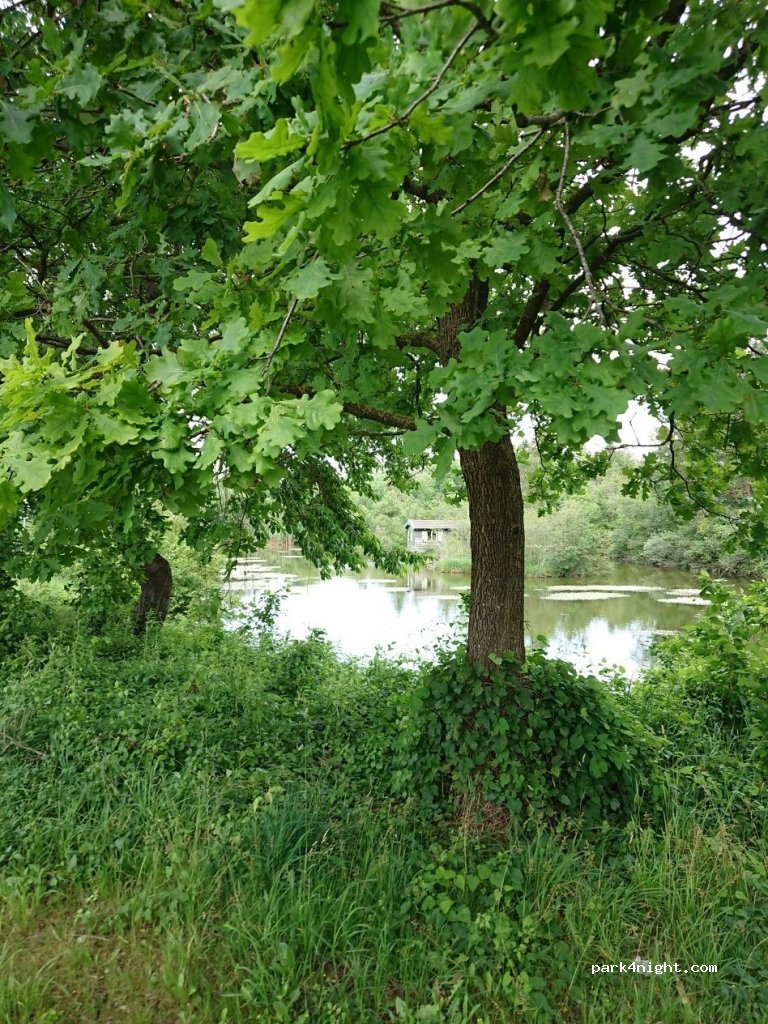 (94405) Landau an der Isar - Unnamed Road — foto