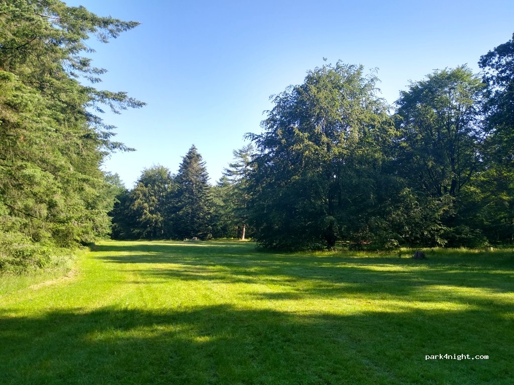 (9462) Gieten - Houtvester Jansenweg — foto