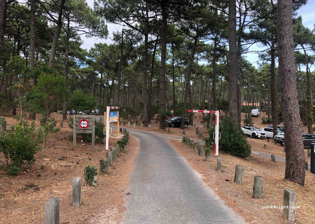 (33680) Lacanau - Route de l'Alexandre — foto