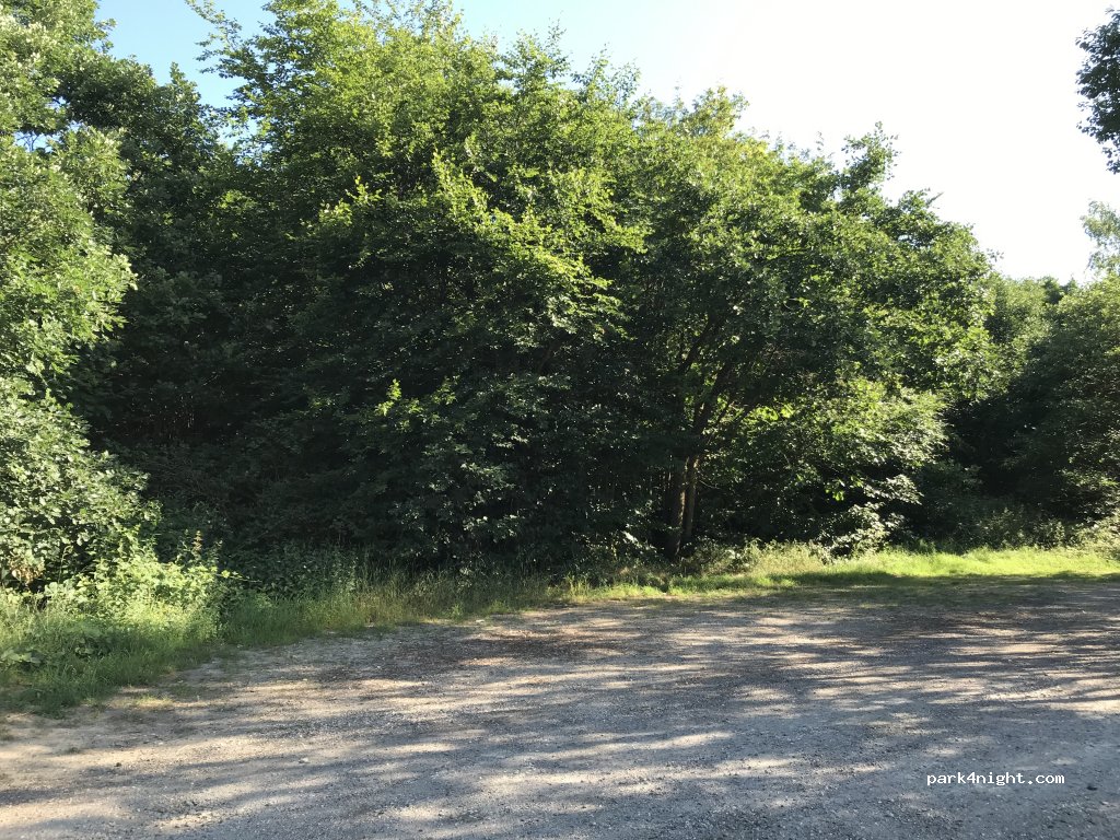 (65321) Heidenrod - L3035 — foto 2