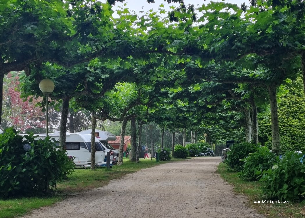 Camping Los Manzanos — foto 4
