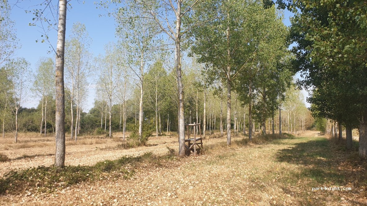(52100) Sapignicourt - Unnamed Road — foto