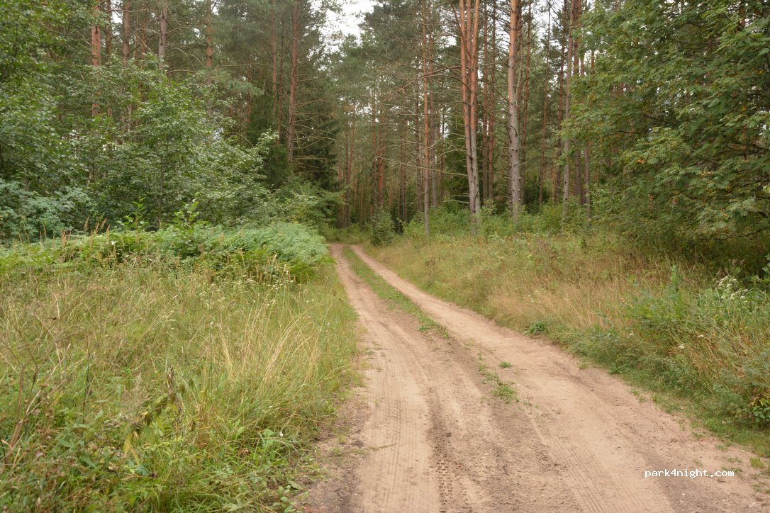 (13179)  - Vilniaus gatvė — foto 2
