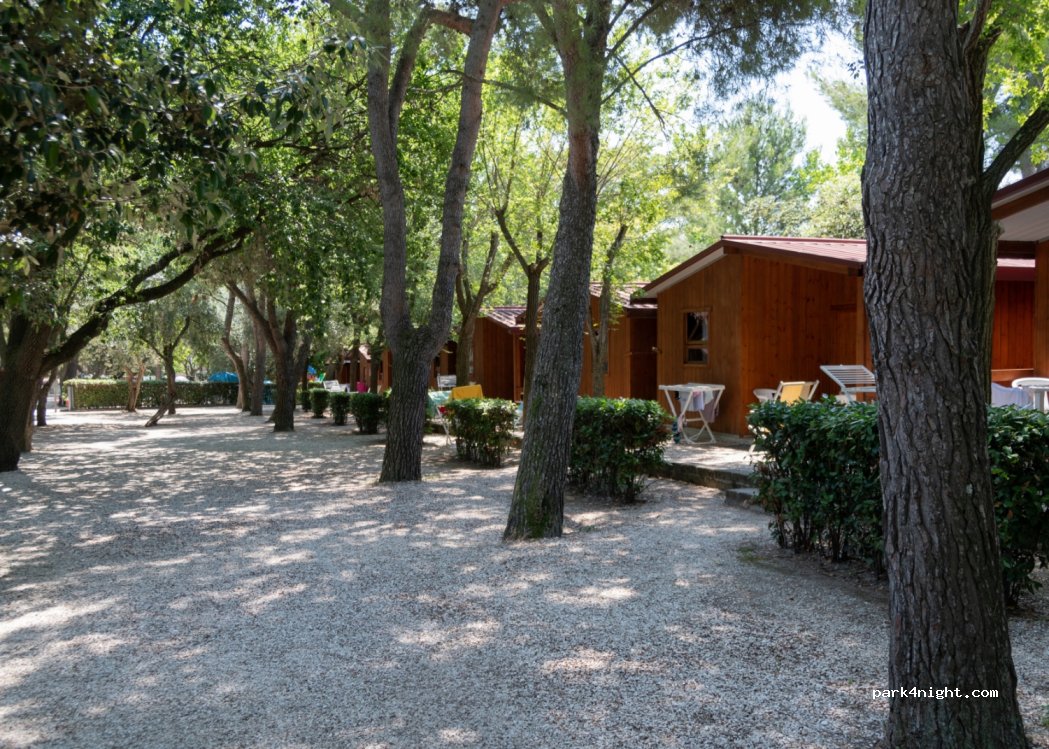 Camping Riviera — foto 2