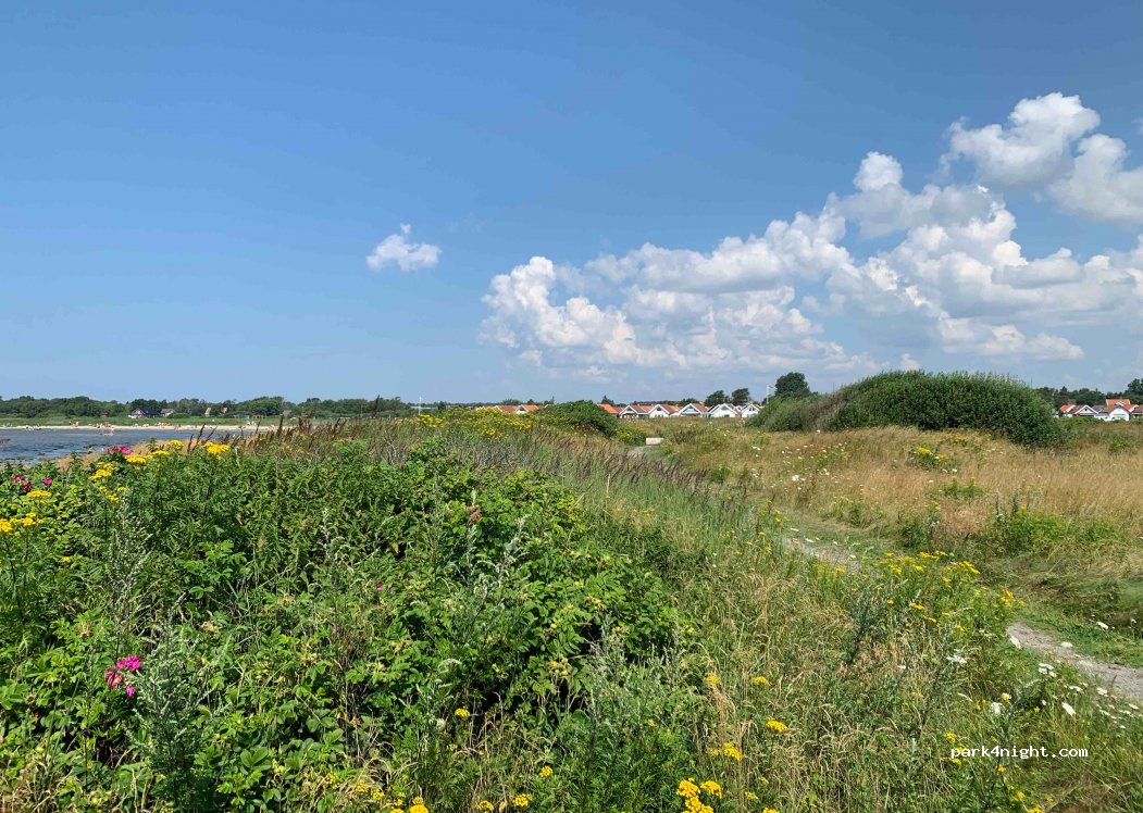 (311 42) Falkenberg - Unnamed Road — foto