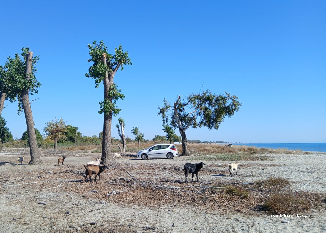 (600 63) Litochoro - Unnamed Road — foto 5