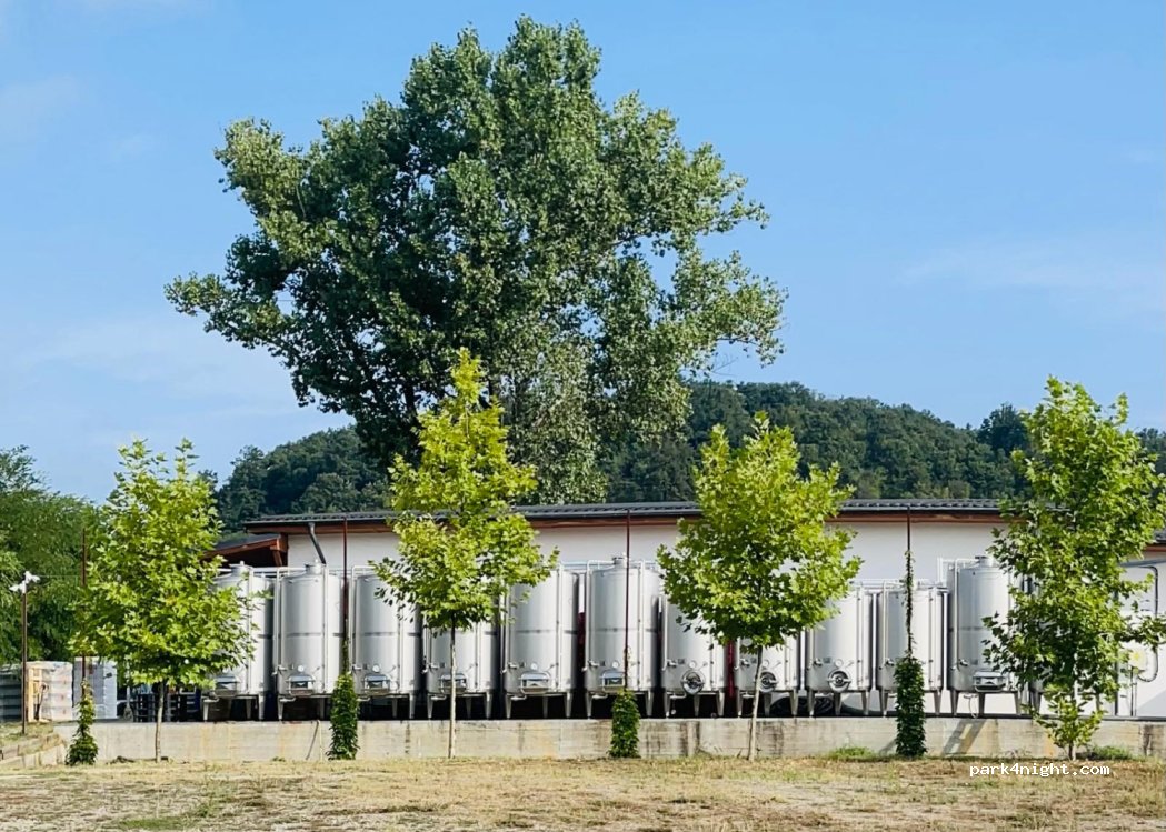 Domaine Catleya - Severinesti Viticola SRL — foto 2