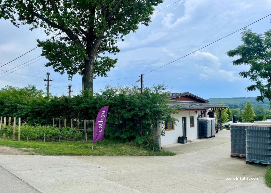 Domaine Catleya - Severinesti Viticola SRL — foto 3