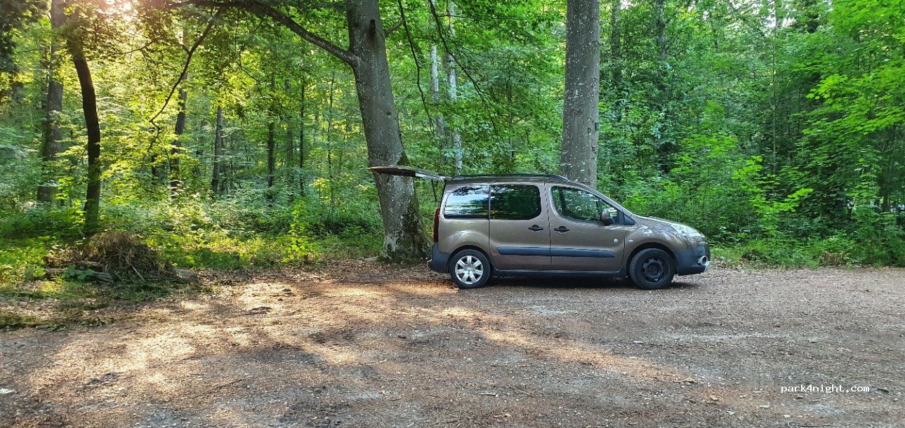 (77300) Fontainebleau - Route Desquinemare — foto 2