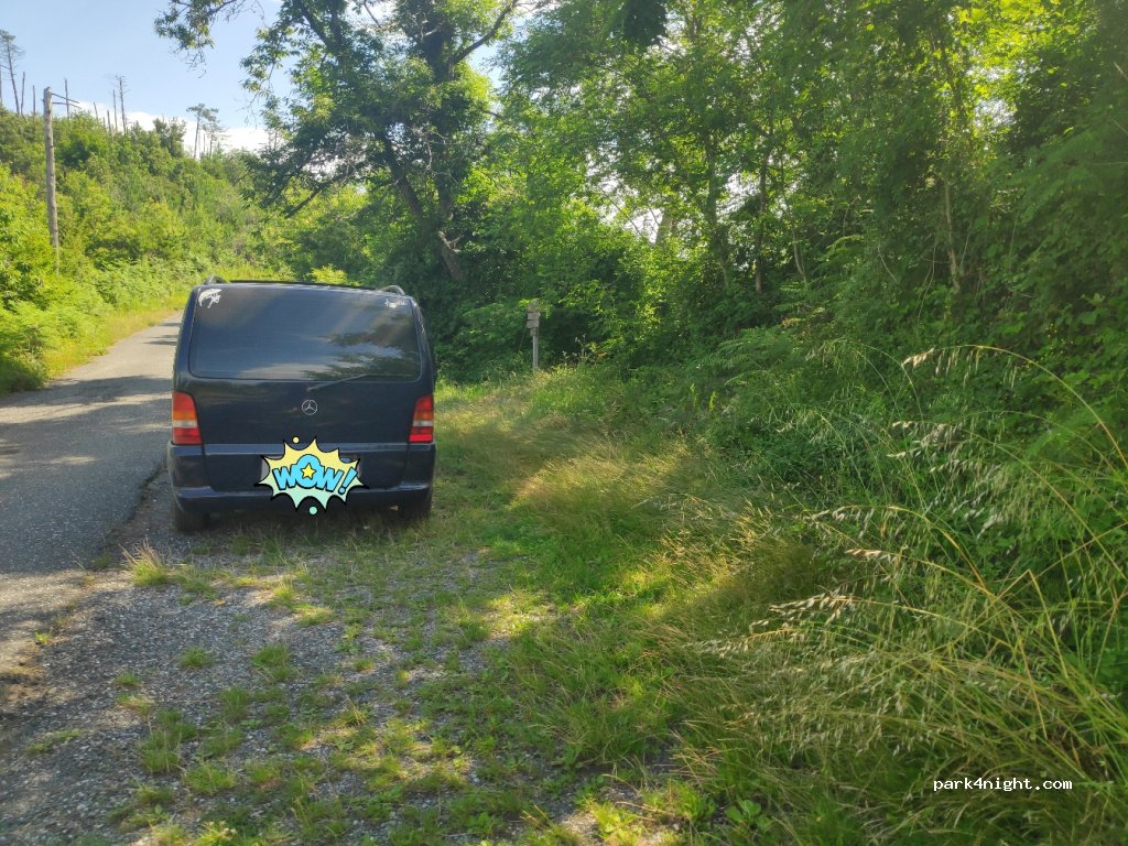 (19015) Levanto - Unnamed Road — foto