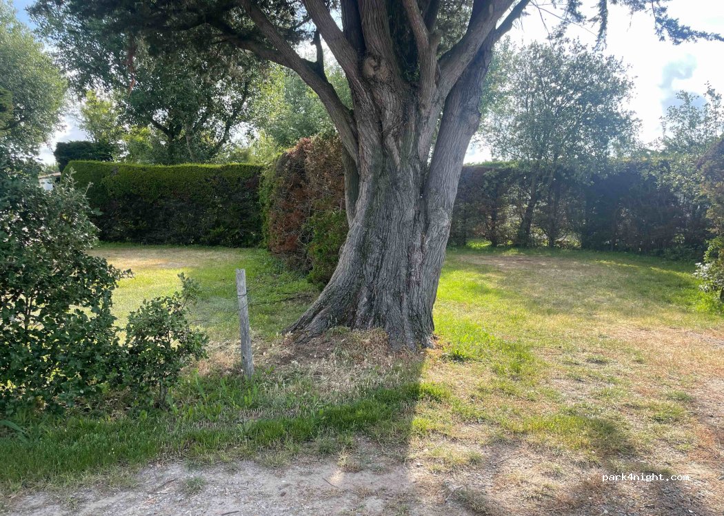 Camping des Roussières — foto 4