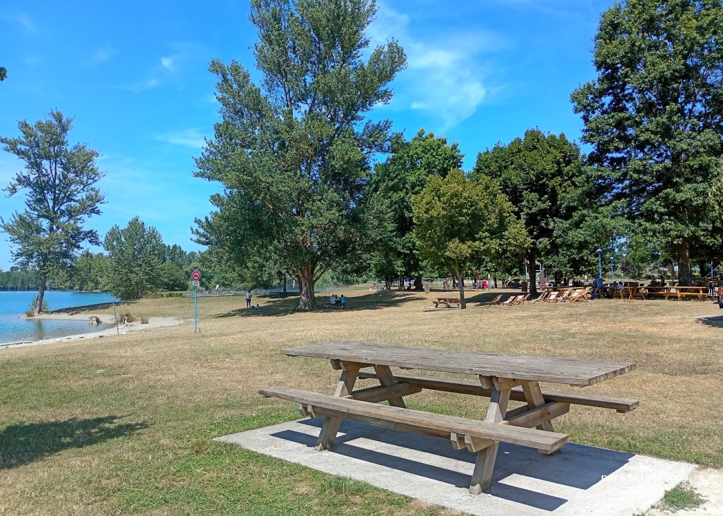 (31800) Saint-Gaudens - 9 Route du Lac — foto 4