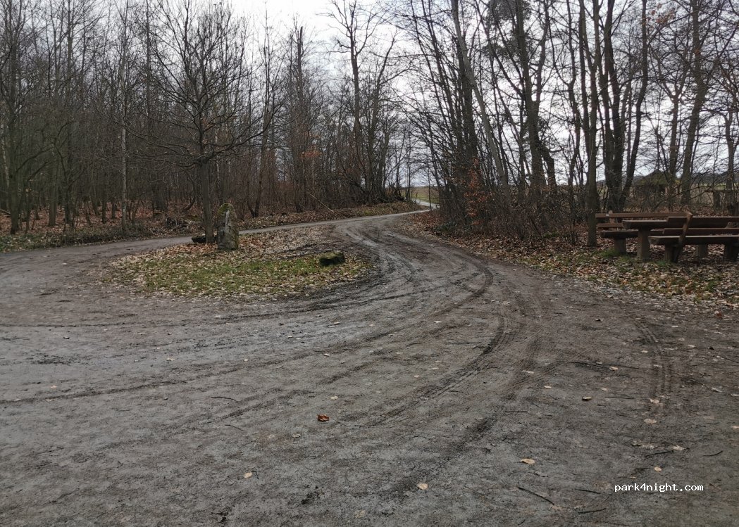 (64407) Fischbachtal - Unnamed Road — foto 4