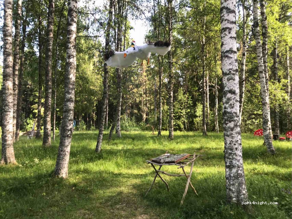 (785 45) Björbo - 149 Björbovägen — foto 2