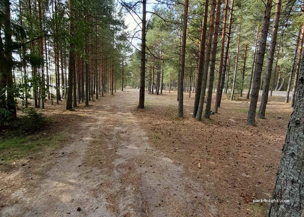 (188767)  - Unnamed Road — foto 4