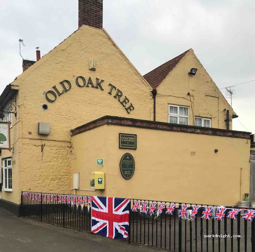 Old Oak Tree — foto