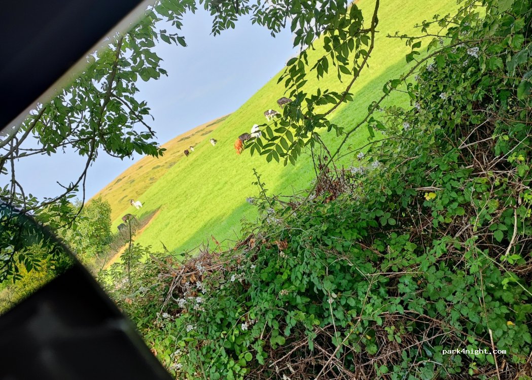 (BH20 5RY) West Lulworth - West Road — foto 4