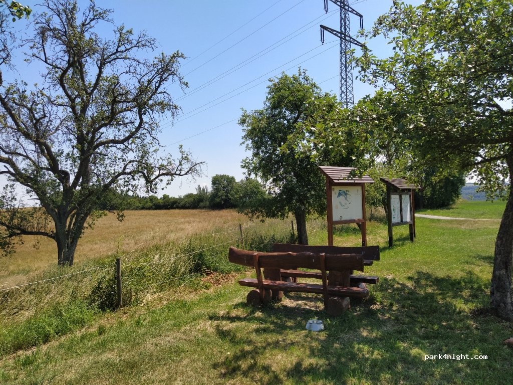 (55606) Hochstetten-Dhaun - K9 — foto 2