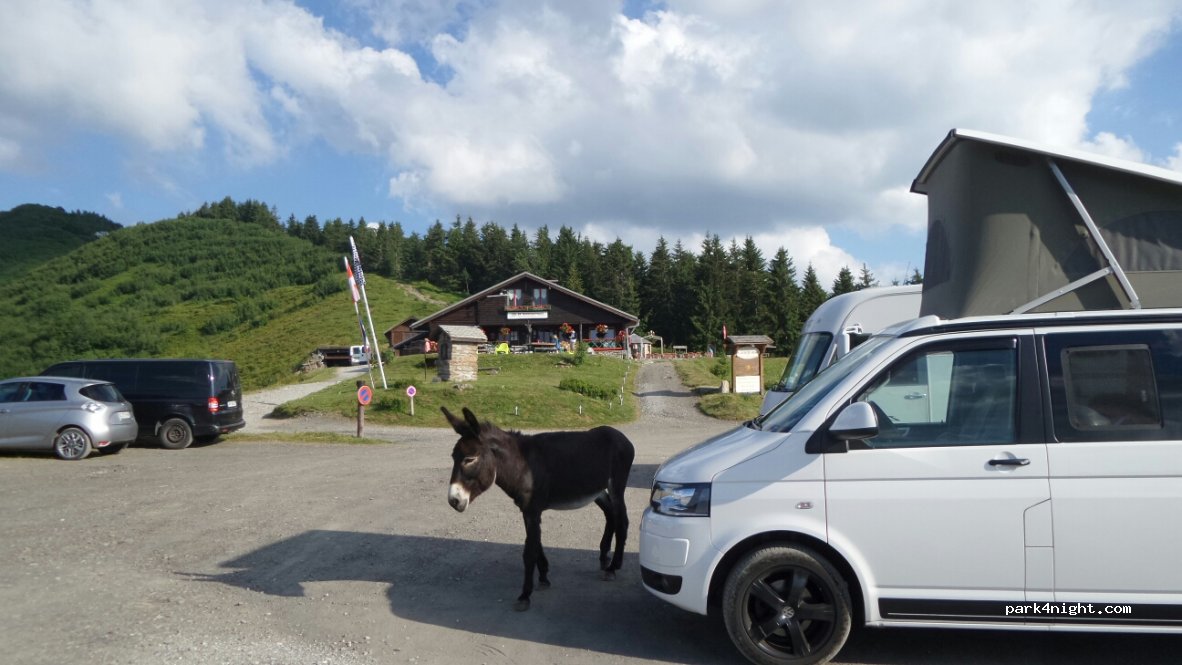 (74390) Châtel - D228A — foto