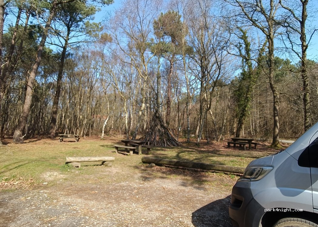 (76119) Sainte-Marguerite-sur-Mer - Route du Phare d'Ailly — foto
