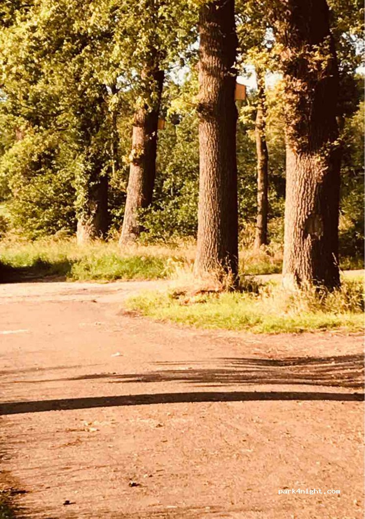 (7104) Winterswijk Meddo - Meddoseweg — foto 4