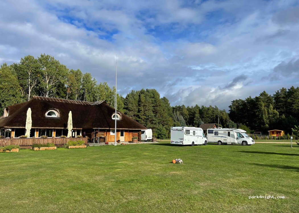 Metsaluige Kämping — foto 4