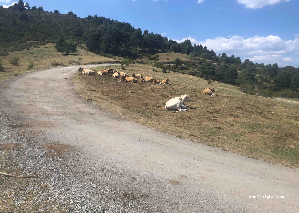 (25721) Riu de Cerdanya - — foto 2