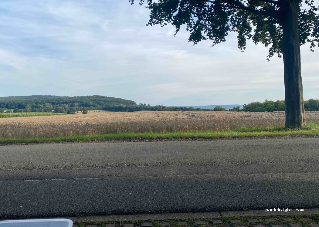 (31542) Bad Nenndorf - 13A Buchenallee — foto 2