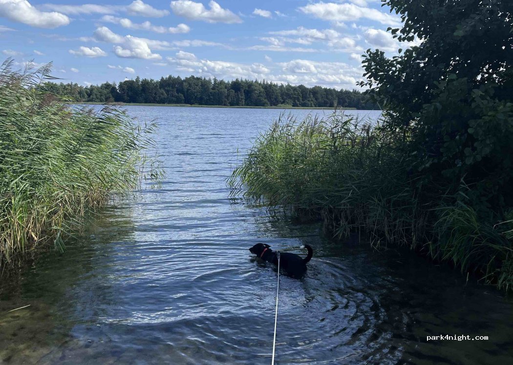 Campingplatz am Krakower See — foto 4