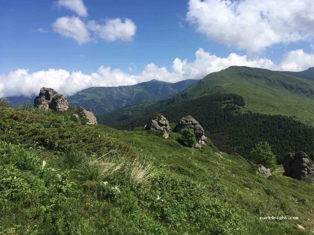 () Crni Vrh - put za planinski dom Babin Zub — foto 2