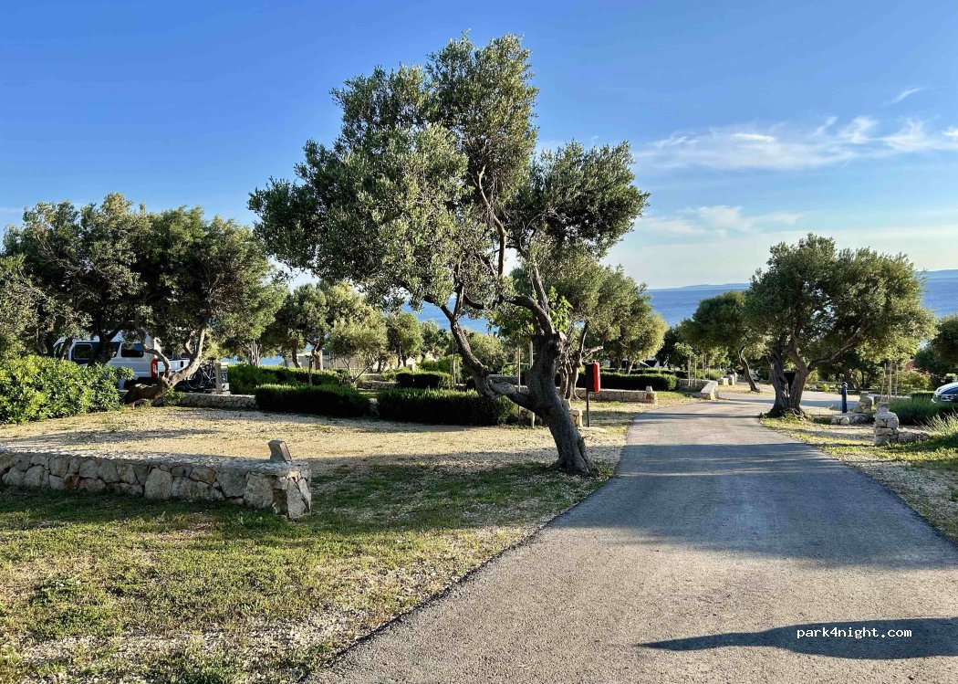 Olea Camping — foto 5