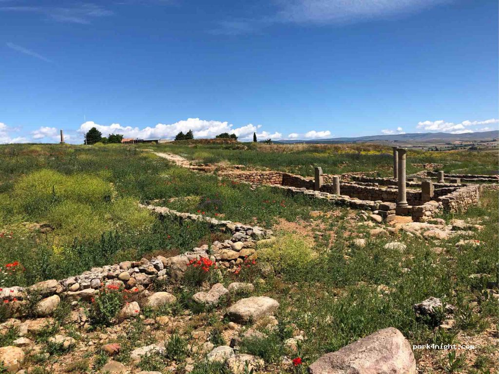 (42162) Garray - 427 Carretera a Numancia — foto 2