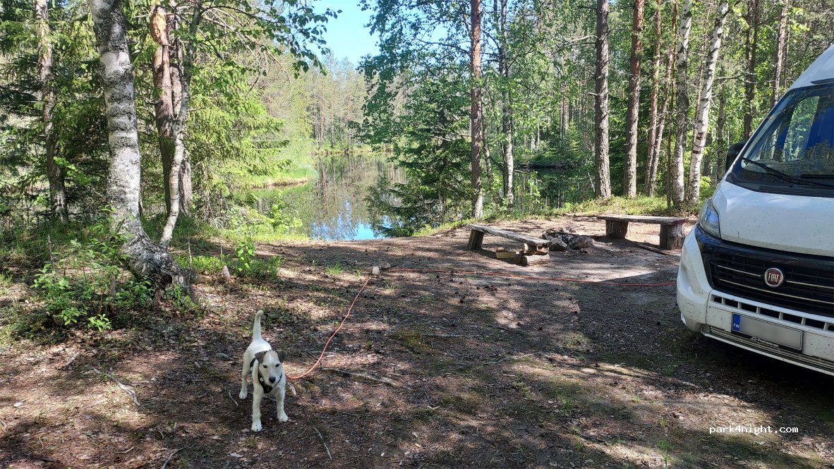 (82967)  - 93 Polvikoskentie — foto