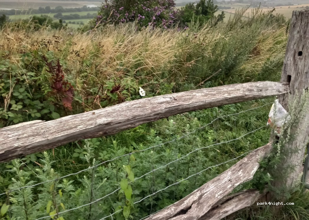 (BN43 5FH)  - Steyning Road — foto 4