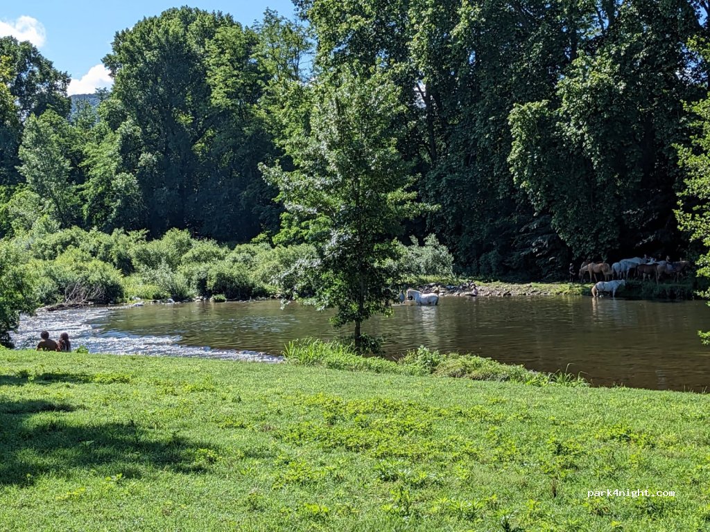 Camping Municipal — foto 4