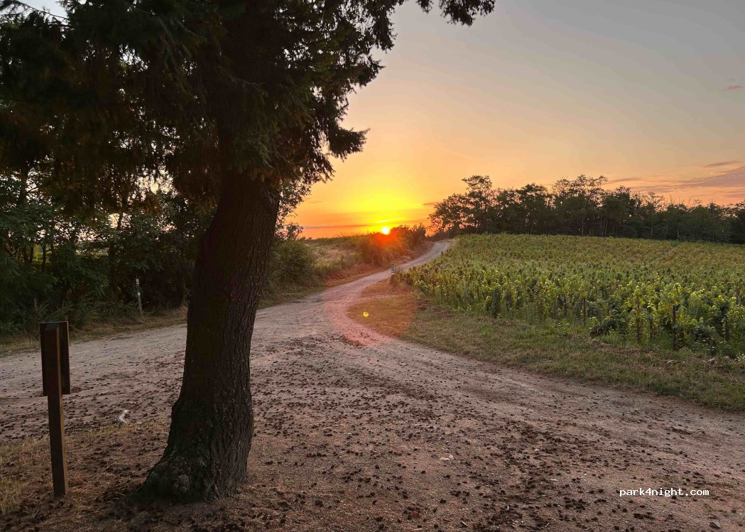 (69820) Fleurie - Unnamed Road — foto 3