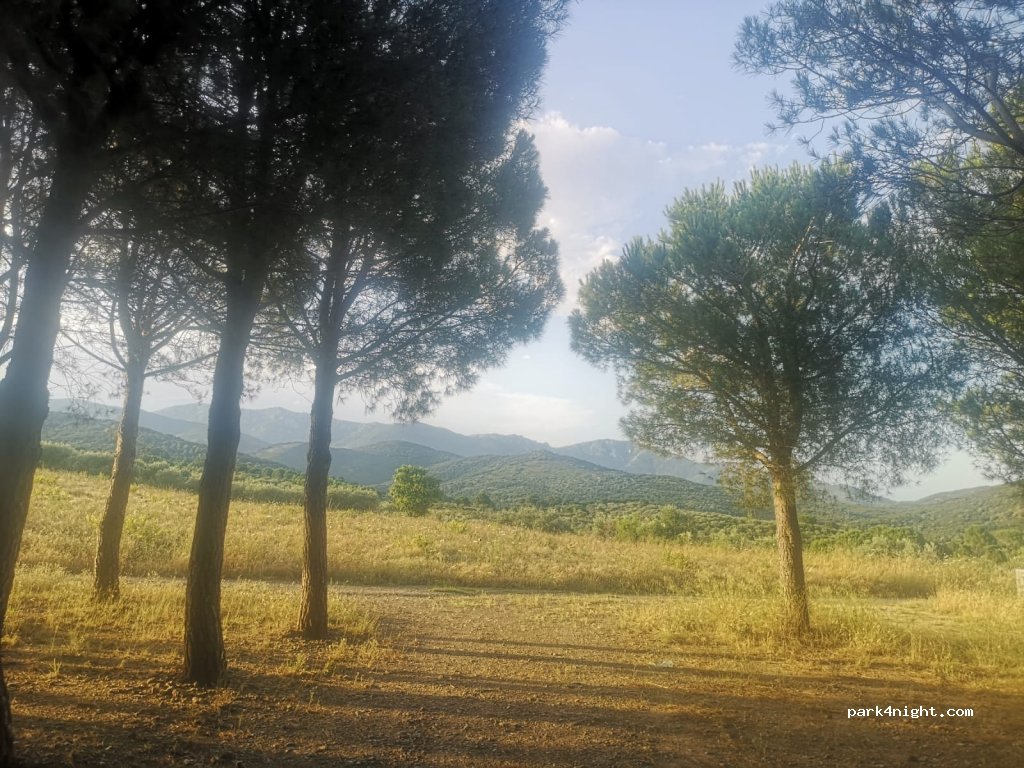 (17753) Espolla - Camí de l'Albera — foto