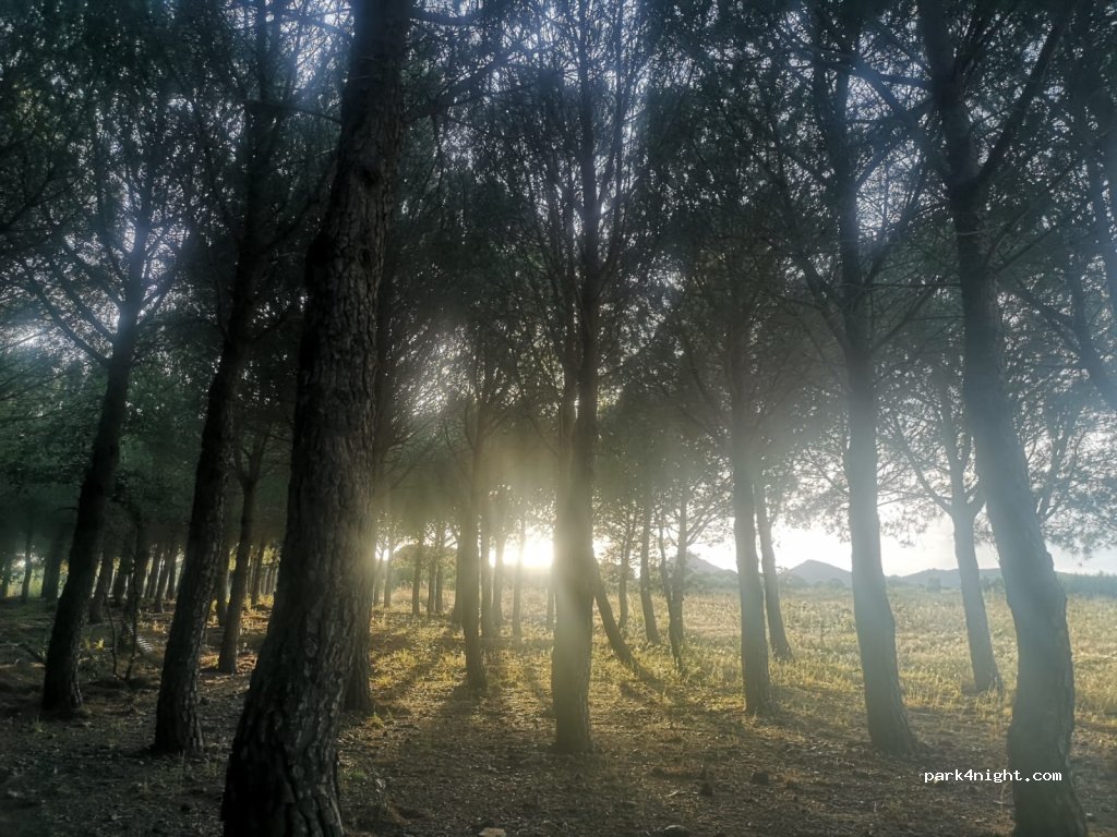 (17753) Espolla - Camí de l'Albera — foto 2
