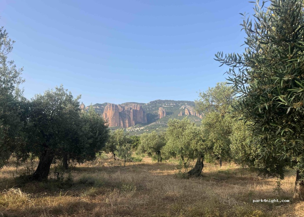 (22808) Murillo de Gállego - 1 Carretera Tarragona San Sebastián — foto 5