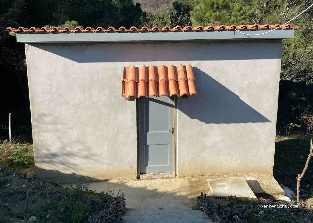 Albanica — foto